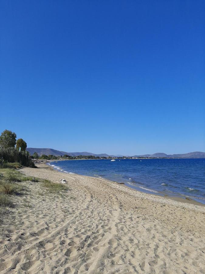 Cozy Flat In Nea Makri Lägenhet Exteriör bild