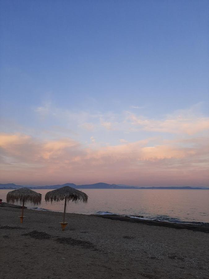Cozy Flat In Nea Makri Lägenhet Exteriör bild