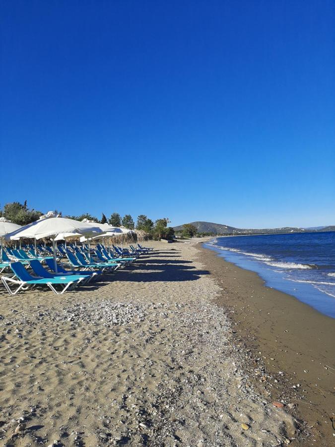 Cozy Flat In Nea Makri Lägenhet Exteriör bild